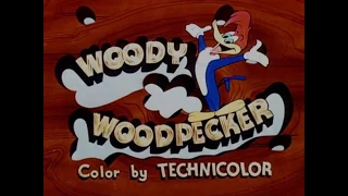 Woody Woodpecker Intro dub