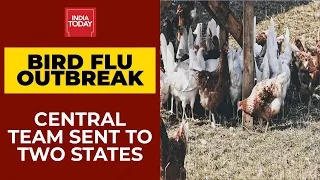 Bird Flu Live Updates: Bird Flu Alarm Across India, Central Teams Sent To 2 States | India Today