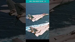 When F-14 Tomcat Got Its First Kill For The US Navy In 1981 #shorts