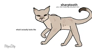 Warrior cats// what I thought they looked like // part 2