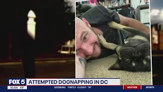 Dog owner fights back in Capitol Hill