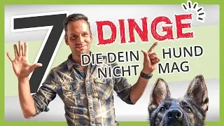 7 DINGE die dein Hund NICHT mag