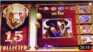 CLOSE to❤️X6000X❤️100+ spins 15 BUFFALO gold heads MASSIVE  BIGGEST JACKPOT WIN on YouTube 👍🐃❤️🐃