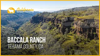 Baccala Ranch | Tehama County, CA