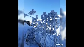 Хамар-Дабан. Перевал Чертовы Ворота.