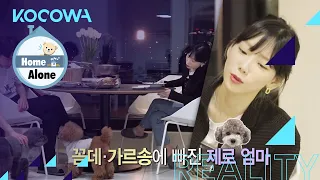 Tae Yeon & Key are like members of a forum for moms [Home Alone Ep 388]