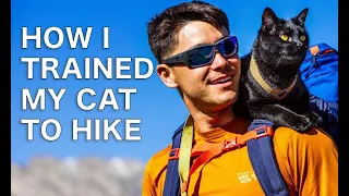 How to Train your Cat for hikes