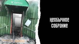 Стихотворение "Необычное собрание"