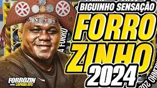 🔴FORROZINHO BIGUINHO SENSAÇÃO 2024/O MELHOR REPERTÓRIO DE FORROZINHO ➕️FAIXA BONUS #nordeste#paredão