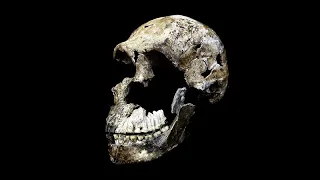 CARTA Presents The Origins of Today's Humans - John Hawks, How Homo Naledi Matters to Our Origins