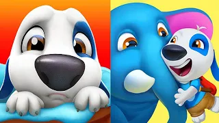 My Talking Hank vs My Talking Hank islands Gameplay Android ios