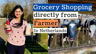 Grocery Shopping In Netherlands From Local Farmers | Cow Farms & Vegetable Farmer Shops | In Hindi