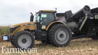Farm Progress Show 2016 Corn Harvest Demo With Gleaner Combine