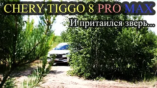 Сhery tiggo 8 pro max - и притаился зверь... 1 часть. Обзор, нюансы где-же Китай экономит.