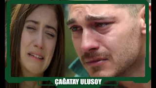 The bitter encounter of Çağatay and Hazal!