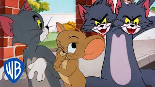 Tom & Jerry in italiano 🇮🇹 | Il meglio di Tom 🐱💙 | @WBKidsItaliano