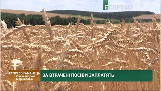 Ціни на продукти в Україні зростають, а електромобілі подешевшають | Еспресо гаманець