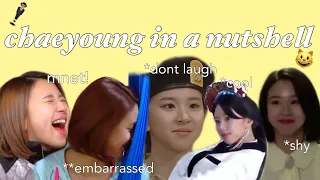 son chaeyoung in a nutshell