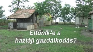 Eltűnik-e a háztáji gazdálkodás?