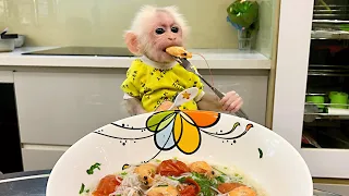 First time Bibi monkey saw live Shrimp! Yummy Breakfast with Shrimp Noodle Soup