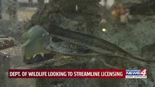 Dept. of Wildlife looking to streamline licensing