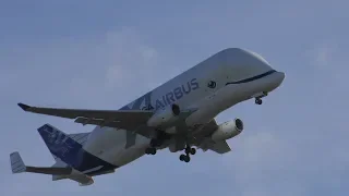 AIRBUS BELUGA XL F-WBXL Amazing Takeoff from Hawarden Airport