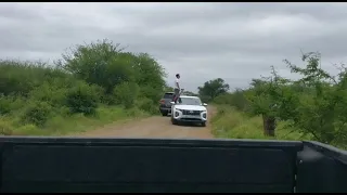 Kruger Park Idiots! Easy title.