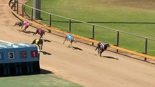 Gawler-03032021-Race-3