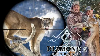 Danny's Lion | Hunting with Hounds | Wyoming