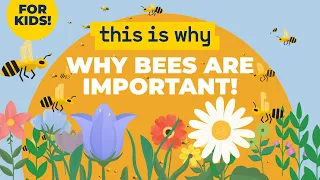 This why bees are important!