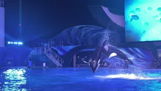 SeaWorld Orlando Orca Encounter Night Show Goes Wrong