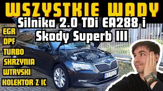 Wszystkie wady Silnika 2.0 TDI EA288 i Skody Superb III, opinia o DSG, czy warto kupić???