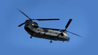 RIAT 2022 - BOEING  CH-47 CHINOOK FROM ROYAL AIRFORCE. AMERICAN DESIGN HELICOPTER, 4K VIDEO