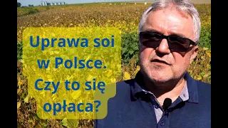 Uprawa soi w Polsce – dotychczas w całości importowana, teraz coraz bardziej opłacalna!