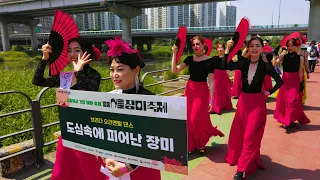 SEOUL ROSE FESTIVAL Open PARADE 2024, The prettiest festival in Seoul, Seoul Travel Walker.