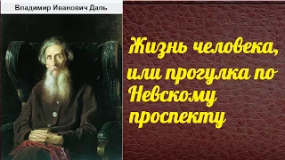 Владимир Даль. Жизнь человека, или прогулка по Невскому проспекту аудиокнига