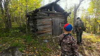 ВЗЯЛ СЫНА ЗА ГРИБАМИ И НЕ ПОЖАЛЕЛ.  СБОР ГРИБОВ. СЫН СОБИРАЕТ ГРИБЫ КАК ПРОФЕССИОНАЛ. ИЗБА В ЛЕСУ.