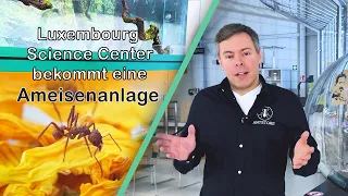 Luxembourg Science Center gets a custom made antfarm