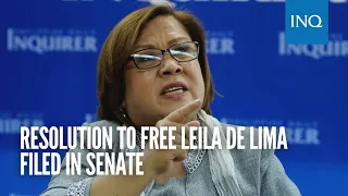 Resolution to free Leila de Lima filed in Senate