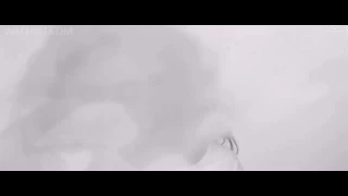 Teri meri kahani remix new (2017)video.....
