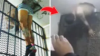 The Most Insane Prison Escapes EVER - 2023 Compilation