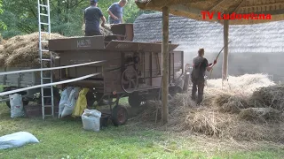 EKOLOGICZNA tradycyjna MŁOCKA ~ W przeszłości był chleb bez rakotwórczej CHEMII