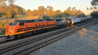 SSR Wheat Train. Newcastle, Australia