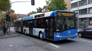 Busse in Münster 4K
