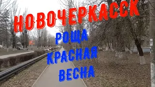 Новочеркасск.Роща