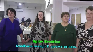 Mladi braća Bojići & Bećir Brigić. Pjesme uz kolo, sa svadbe Splav Breštica.
