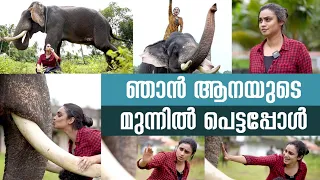 ഞാൻ ആനയുടെ മുന്നിൽ പെട്ടപ്പോൾ