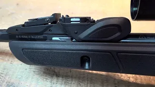 Carabine à plomb: Gamo Roadster 10X G2