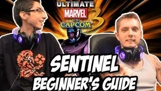 Sentinel Beginners Guide! /w Special Guest sentinAL!