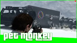 GTA 5 Online Security Contract - Vehicle Recovery (Pet Monkey)